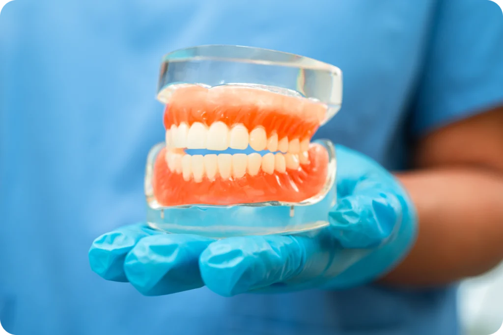 Praticien tenant un modèle dentaire avec appareil orthodontique
